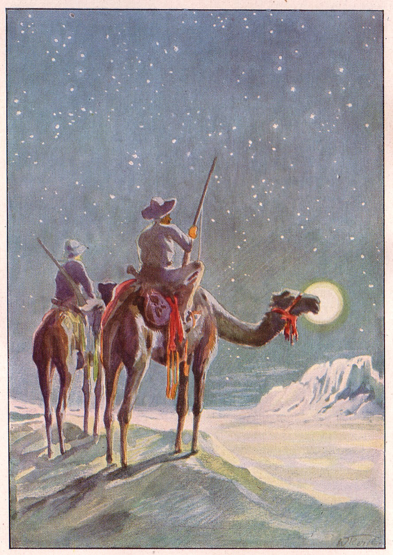 Illustration for article titled Pulp Science Fiction Under German Totalitarianism
